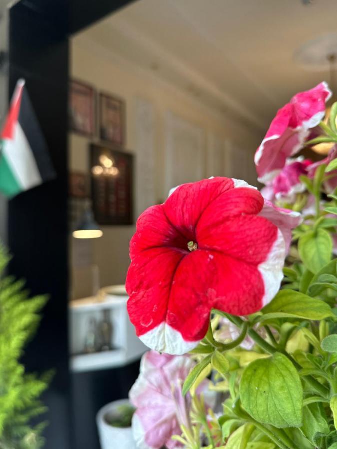City Citadel Hotel,Amman Dış mekan fotoğraf